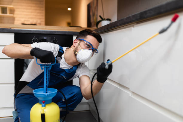 Best Emergency Pest Control  in Vienna, GA