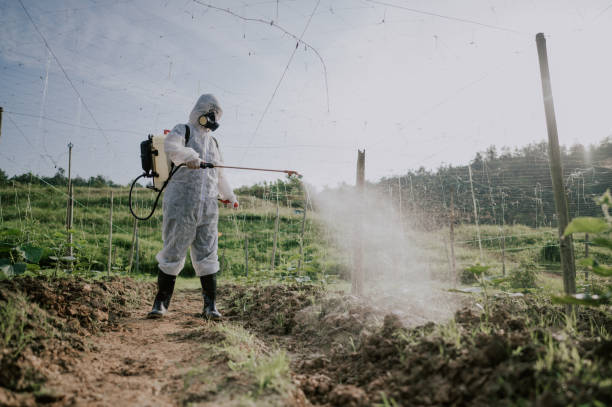 Best Local Pest Control Services  in Vienna, GA