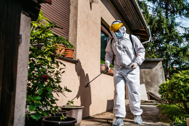 Professional Pest Control in Vienna, GA