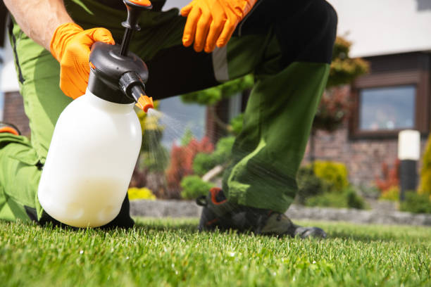Best Pest Prevention Services  in Vienna, GA
