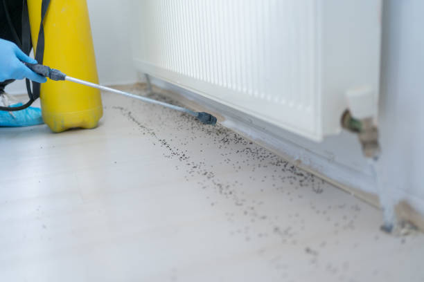 Best Insect Control  in Vienna, GA