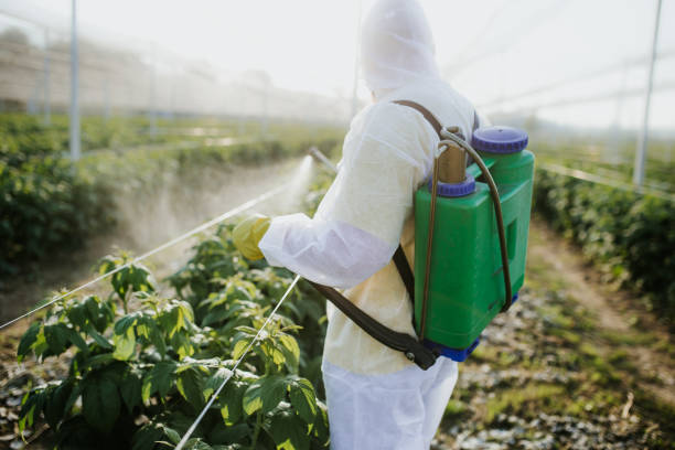 Best Affordable Pest Control Services  in Vienna, GA